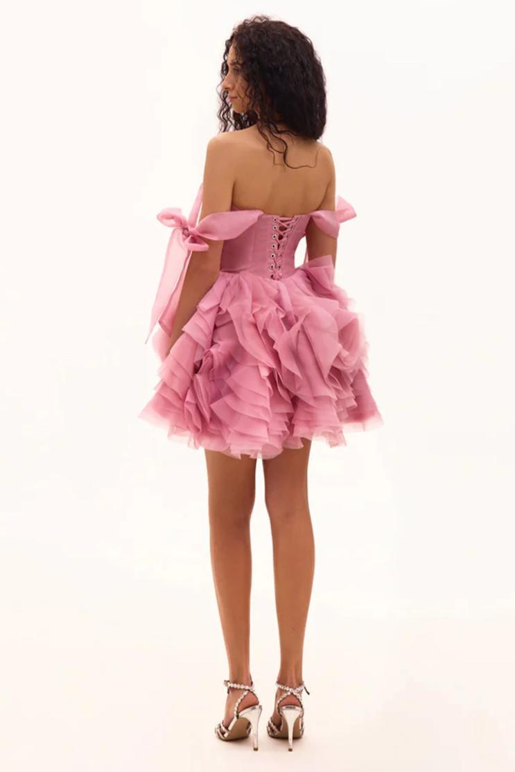 Pink organza mini dress with a lace-up corset back, ruffled skirt, and tie-strap sleeves on a model.